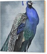Majestic Peacock Wood Print