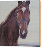 Majestic Roger- Chestnut Horse Wood Print