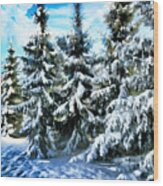 Majestic Winter In New England Wood Print