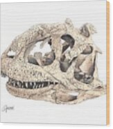 Majungasaur Skull Wood Print