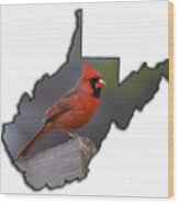 Male Cardinal Perch Wood Print