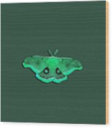 Male Moth Green .png Wood Print