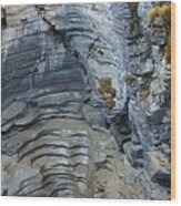 Maligne Canyon Wood Print