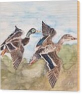 Mallards Wood Print