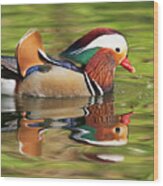 Mandarin Duck Wood Print