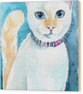 Mango - Flame Point Siamese Cat Painting Wood Print