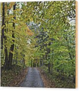 Maple Drive Panorama Wood Print