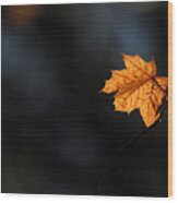 Maple Leaf Setauket New York Wood Print