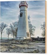 Marblehead Lighthouse Wood Print