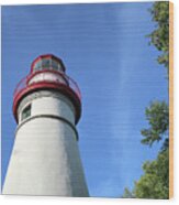Marblehead Lighthouse In Ohio Wood Print