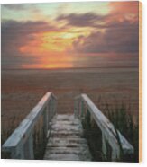 Marineland Sunrise Wood Print