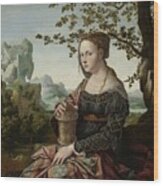 Mary Magdalene, 1530 Wood Print