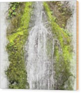 Marymere Falls Wc Wood Print