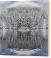 Mason Lake Reflection Wood Print