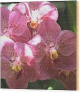 Mauve Orchids Wood Print