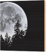 May 4 Moon Set Wood Print
