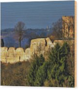 Medieval Fortress In Germany Wood Print