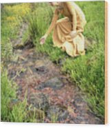Medieval Lady By A Stream Wood Print