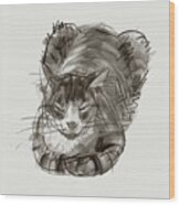 Meditating Cat Wood Print