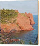 Mediterranean Coast In Provence Wood Print