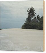 Meedhupparu Beach Wood Print