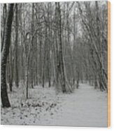 Merwin Snow Woods Wood Print