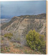 Mesa Verde National Park Colorado Usa Wood Print