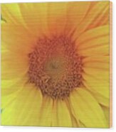 #mextures #mexturesapp #sunflower Wood Print
