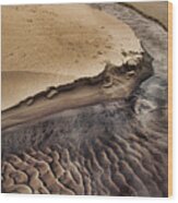 Michigan Beachscape Wood Print