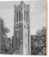 Michigan State University Beaumont Tower Wood Print