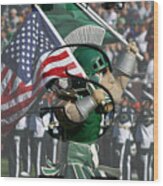 Michiganstate Sparty Wood Print