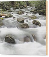 Middle Saluda River Wood Print