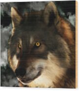 Midnight Stare - wolf digital painting Digital Art by Tracey Everington ...