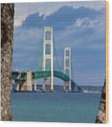 Mighty Mac Framed By Trees Wood Print