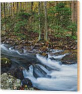 Mill Creek In Fall #2 Wood Print