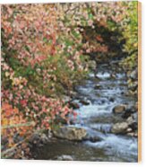 Millcreek In Fall Wood Print