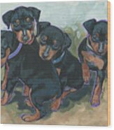 Min Pin Pups Wood Print