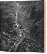 Mingo Falls Wood Print