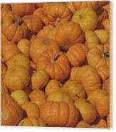 Mini Pumpkins Wood Print