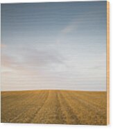 Minimalistic Landscape With Meadow Wheat Field Wood Print