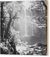Misol Ha Waterfall Mexico Black And White Wood Print