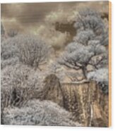 Missouri Botanical Garden Waterfall Zen Japanesse Garden Infrared Wood Print