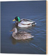 Mister And Misses Mallard Wood Print