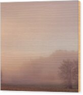 Misty Dawn Wood Print