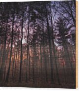 Misty Forest Sunset Wood Print