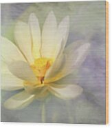 Misty Lotus Wood Print