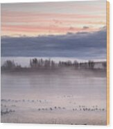 Misty Mann Lake Wood Print