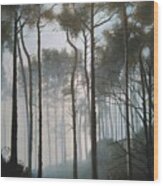 Misty Morning Walk Wood Print