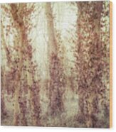 Misty Morning Winter Forest Wood Print