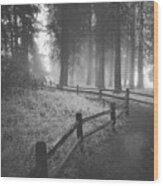 Misty Path Along Fence Wood Print